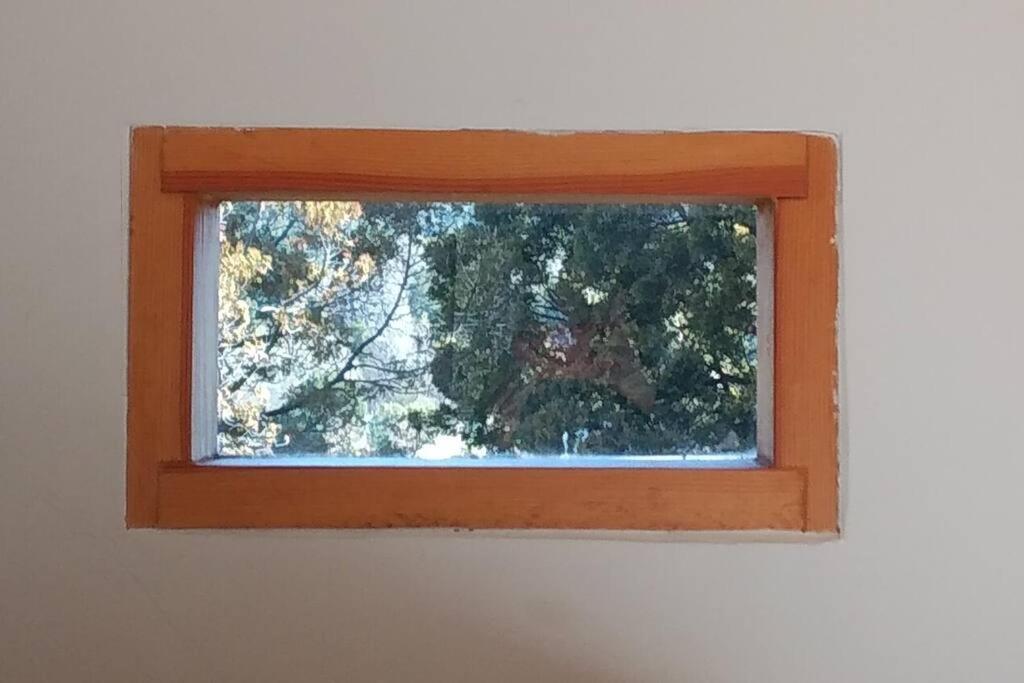Buena Vista Daire San Carlos de Bariloche Dış mekan fotoğraf