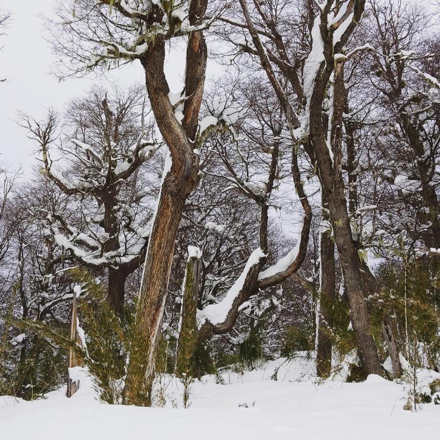 Buena Vista Daire San Carlos de Bariloche Dış mekan fotoğraf